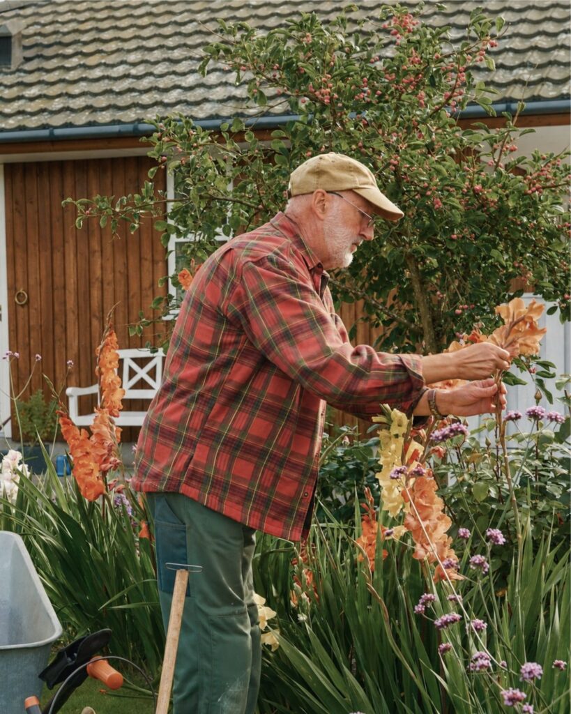 Man sköter blommor i en trädgård.